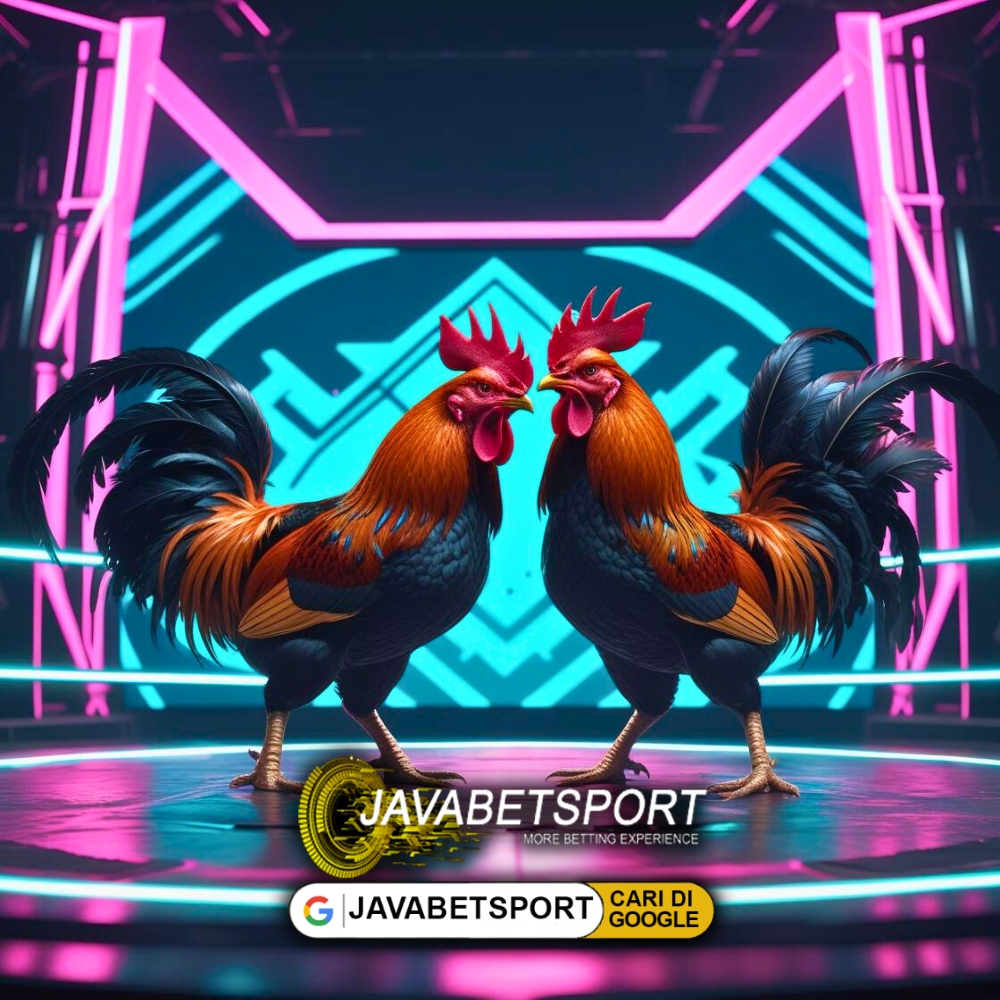 Javabetsport Situs SV388 Resmi Sabung Ayam Online Terpercaya